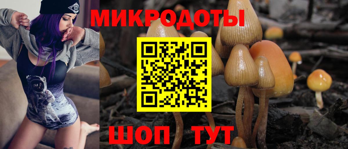 Галлюциногенные грибы ЛСД Хасавюрт